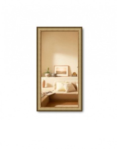 Зеркало в багетной раме Gallery 33х63 см золото/дерево