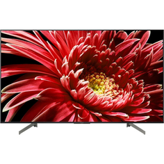 Телевизор Sony KD-65XG8596