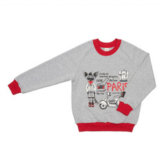 Толстовка Lucky Child Лемур в Париже 122-128