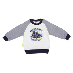 Толстовка Lucky Child Basic Sport серая 104-110