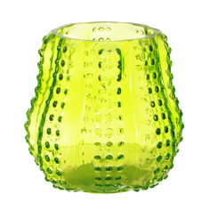 Ваза Edg sfera кактус 13х14см