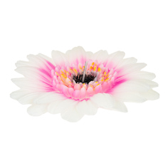 Свеча Edg gerbera 4х15см розовая