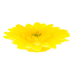 Свеча Edg gerbera 4х15см желтая