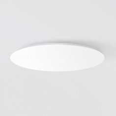 Светодиодный светильник Xiaomi led intelligent ceiling lamp (ylxd05yl) 480 mm