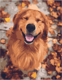 Картина по номерам Paintboy PK 48008 Улыбчивый пес 40*50 Эксклюзив