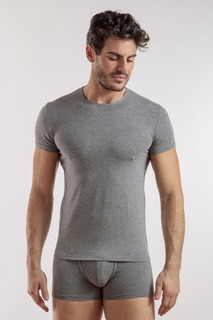 Футболка мужская Enrico Coveri ET1000 серая 7