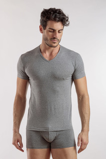 Футболка мужская Enrico Coveri ET1001 серая 4