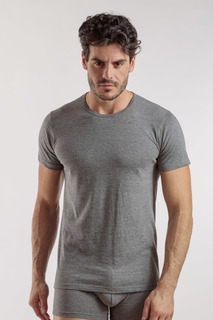 Футболка мужская Enrico Coveri ET1100 серая 5