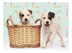 Пазл ravensburger «озорные друзья» xxl 200 элем.