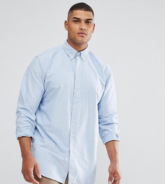 Голубая оксфордская рубашка на пуговицах Polo Ralph Lauren Big & Tall-Синий