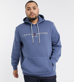 Худи синего цвета с логотипом Tommy Hilfiger Big & Tall-Синий