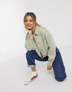 Шалфейно-зеленая куртка Miss Selfridge-Зеленый