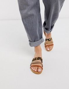 Светло-коричневые кожаные шлепанцы с леопардовым принтом Steve Madden-Светло-коричневый