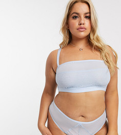 Бразильские трусы из сетки и кружева ASOS DESIGN Curve-Синий