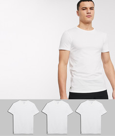 3 белые приталенные футболки Lacoste-Белый