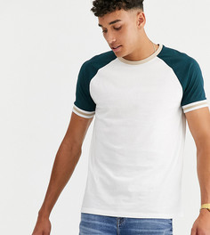 Белая свободная футболка из органического хлопка с рукавами реглан ASOS DESIGN Tall-Зеленый