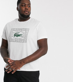 Белая хлопковая футболка с логотипом Lacoste-Белый