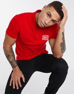 Поло из пике красного цвета с логотипом Lacoste-Красный