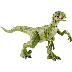 Базовая фигурка динозавра Jurassic World Dino Rivals Велоцираптор Чарли Mattel