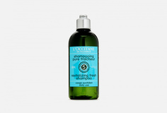Освежающий шампунь для волос L`Occitane