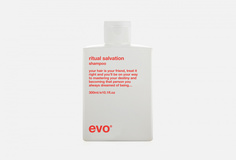 Шампунь для окрашенных волос EVO