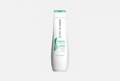 ШАМПУНЬ ПРОТИВ ПЕРХОТИ Biolage