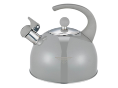 Чайник Mercury Haus MC-6601