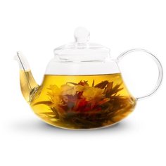 Fissman Заварочный чайник со