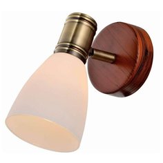 Спот Toplight Sharyl TL3720Y-01BB