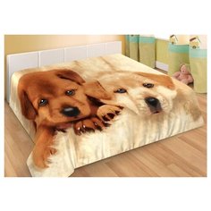 Плед Guten Morgen Тоби и Бакс