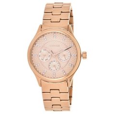 Наручные часы FOSSIL BQ1561
