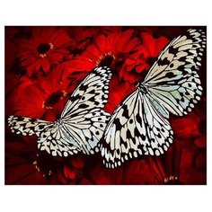 ВанГогВоМне Картина по номерам