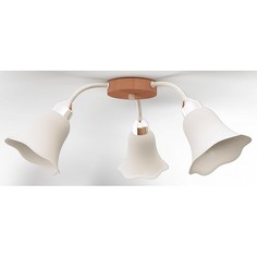 Потолочная люстра Джолли 263-51-23 Дубравия