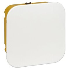 Распределительная коробка Schneider Electric IMT35161 скрытый монтаж 100x100 мм желтый RAL 1018