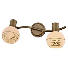 Спот Toplight Sharleen TL3790Y-02AB