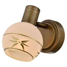 Спот Toplight Sharleen TL3790Y-01AB