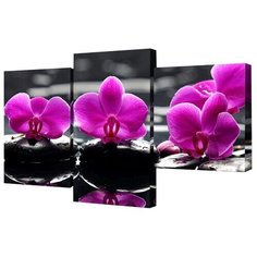 Модульная картина Toplight TL-MM1038 78х50 см