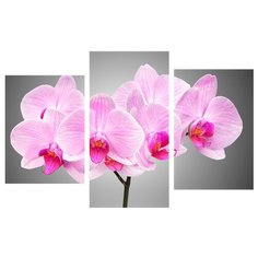 Модульная картина Toplight TL-TM1010 99х65 см