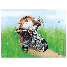 Белоснежка Картина по номерам "Котоциклист" 30x40 см (3001-CS)