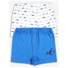 Трусы Веселый Малыш 2 шт., размер 110, голубой