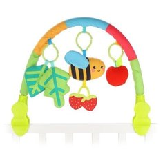 Дуга Жирафики Пчелка (939768) зеленый/красный/голубой