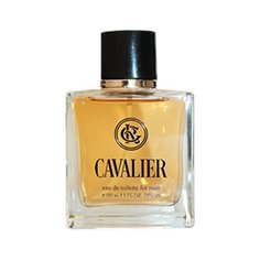 Туалетная вода Paul Vensan Cavalier, 100 мл