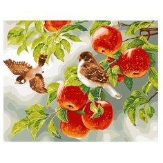 ВанГогВоМне Картина по номерам "Птички на яблоне", 40х50 см (ZX 22191)