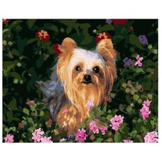 ВанГогВоМне Картина по номерам "Йоркширский терьер в цветах", 40х50 см (ZX 21238)