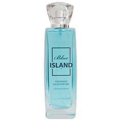 Парфюмерная вода Paul Vensan Blue Island, 100 мл