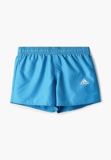 Шорты для плавания adidas