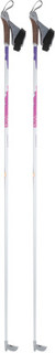 Alpha Ski poles (2 pcs) Nordway