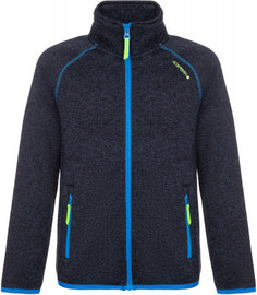 Джемпер флисовый для мальчиков IcePeak Longston, размер 176