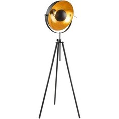 Торшер Globo 58305