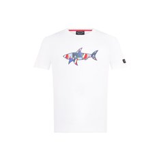 Хлопковая футболка Paul&Shark